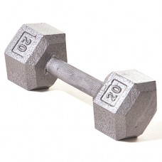 Hex Dumbbell with Ergo Handle 20 pound