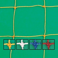 International Champion Soccer Net