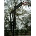 Slam Select Adjustable Basketball System Inground