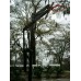 Slam II Adjustable Basketball System Inground